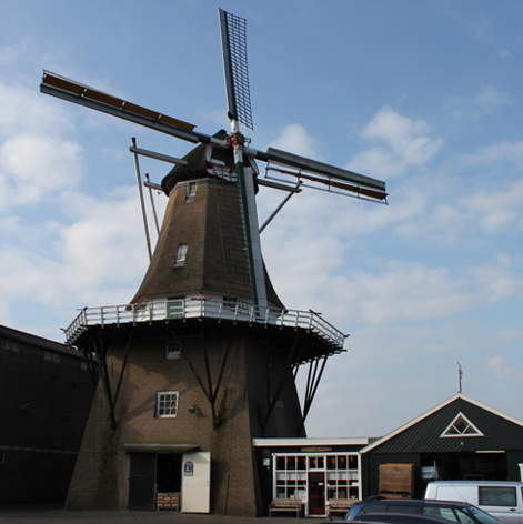 Omgeving De Vier Winden